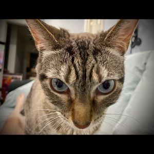 Meet your Posher, Judy